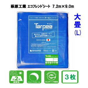 H ^[s[ GRthV[g(L) #3000 7.2m×9.0m 3 4×5 4K×5K { H h ~ nk  J悯 悯 h h u[V[g