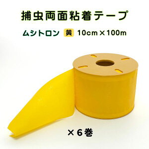 ߒe[v Vg F ʔS 10cm×100m 6 [^Cv Q 쏜 ߊl nEX S e[v _Ǝ _ | ƒ؉   CG[