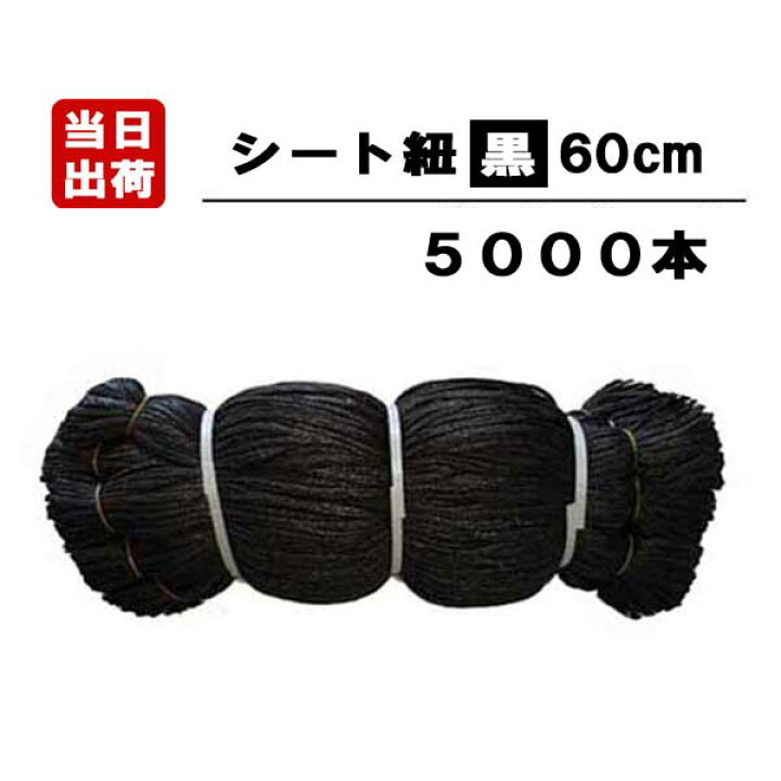 楽天市場】シート紐 60cm 黒 5000本入/CS 足場用 組ひも 結束 ロープ 