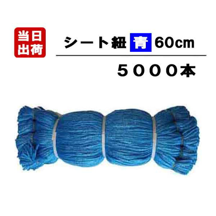 楽天市場】シート紐 60cm 青 5000本入/CS 足場用 組ひも 結束 ロープ 