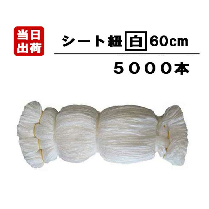 楽天市場】シート紐 60cm 白 5000本入/CS 足場用 組ひも 結束 ロープ 