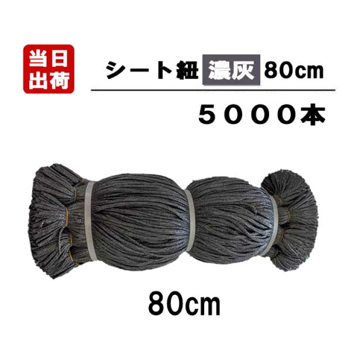 楽天市場】シート紐 80cm 濃灰 5000本入/CS 足場用 組ひも 結束 ロープ 