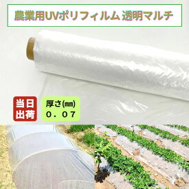 農業用ポリフィルムUV 透明マルチ 厚0.07mm 幅270cm(W)×長さ100m 1巻 農ポリ 一般 農業ポリ 農業資材 被覆資材 トンネルフィルム マルチシート 温室 花 ガーデン アグリ