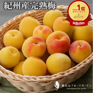 【楽天1位】紀州梅 【完熟オレンジ梅】 A級 大玉 B級品 訳あり1kg 2kg ~10kg 和歌山県産 観音山フルーツ…