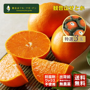 Ƃ a̎R I AAA 3 ωRt[cK[f 