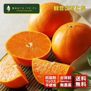 Ƃ a̎R ωR l Ai 9kg ωRt[cK[f 