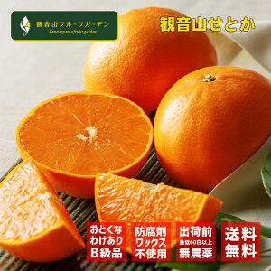 Ƃ a̎R ωR  󂠂Bi 5kg ωRt[cK[f 