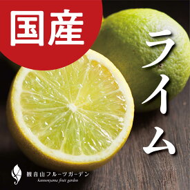 【大感謝祭】半額クーポン配布中 国産ライム A級 B級 訳あり 1kg ~ 10kg ジンの恋人 和歌山 観音山フルーツガーデン 送料無料 ライム 防腐剤 ワックス不使用 冷蔵 カクテル モヒート 和歌山県産 国産 産地直送 自宅用 家庭用 業務用 コロナビール ビール