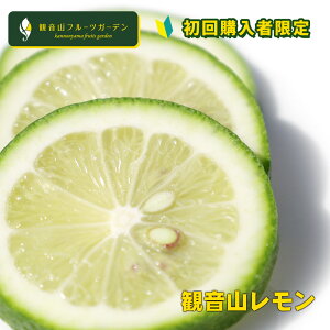 w  Y VcÉ̊ωR ʔ炪ΐF̃O[ Ai ₩ 2kg ωRt[cK[f 