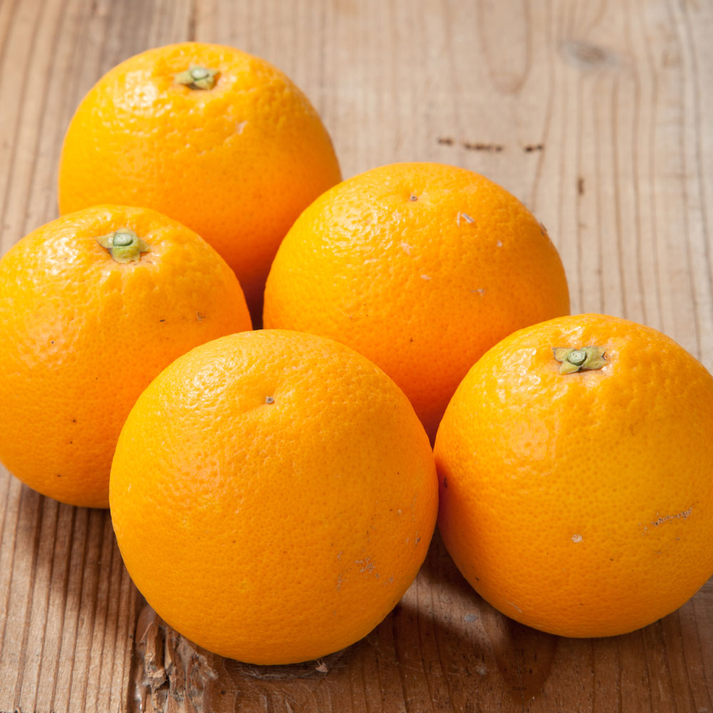 オンライン限定商品】 国産 バレンシアオレンジ 3kg
