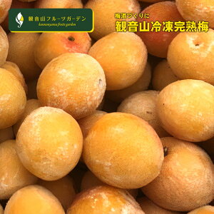 Ⓚ~ 󂠂Bi a̎RYn~ 召 10kg ωRt[cK[f 