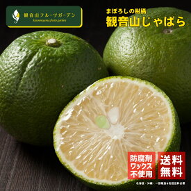 じゃばら B級品 2kg 和歌山県産ジャバラ 観音山フルーツガーデン 送料無料