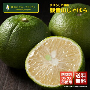 ΂ Ai 5kg a̎RYWo ωRt[cK[f 