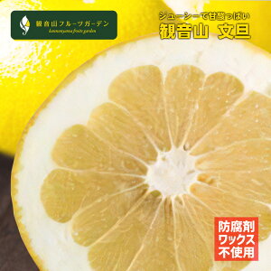 U iԂ񂽂j Ai 2kg h܁EbNXsgp a̎R ωRt[cK[f 