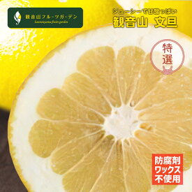 文旦 （ぶんたん） 特選 5玉 防腐剤・ワックス不使用 和歌山 観音山フルーツガーデン 送料無料
