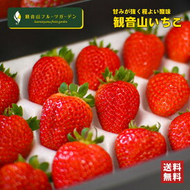 いちご まりひめ 特選15粒 ギフト箱入り 観音山フルーツガーデン 送料無料