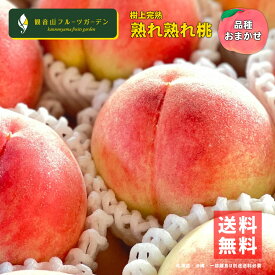 桃 紀ノ川 熟れ熟れ桃 品種おまかせ B級 4kg 和歌山 観音山フルーツガーデン 送料無料