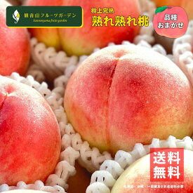 桃 紀の川 熟れ熟れ桃 品種おまかせ AA級（特選）・A級・B級 6玉・12玉/2kg・4kg 和歌山 観音山フルーツガーデン 送料無料