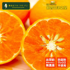 津之望 （つののぞみ） 霜降りみかん B級 1kg ノーワックス・ノー防腐剤 和歌山 観音山フルーツガーデン 送料無料