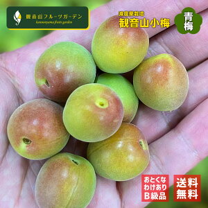 �I�B���~ ���~����� �~ ���ƒ�p �󂠂� B���i 5kg �a�̎R���Y���~ �ω��R�t���[�c�K�[�f�� ��������