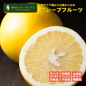 YO[vt[c T^}A 󂠂肦 7kg ωRt[cK[f 