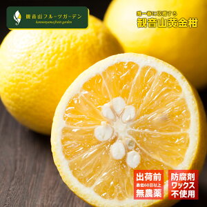  a̎R ωR RKlC AB 1kg ωRt[cK[f 