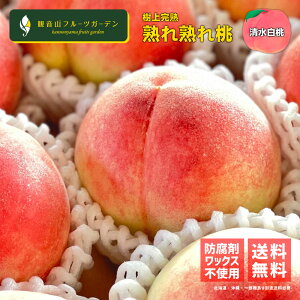 �� �y���������z �I�m�� �n��n�꓍ A�� 2kg �a�̎R �ω��R�t���[�c�K�[�f�� ��������