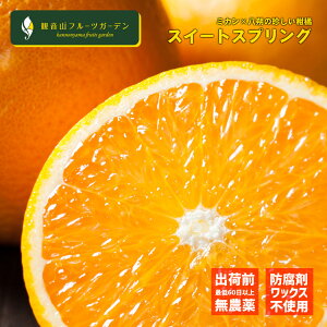 XC[gXvO ̊Ït Ai 2kg a̎R ωRt[cK[f 