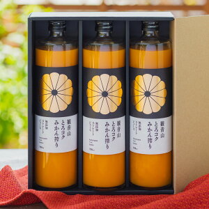 ݂W[X ωR݂100 Xg[g݂W[X ƂRN݂ 720ml r 3{ Mtg ωRt[cK[f 