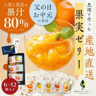 【父の日 早割500円クーポン】 父の日 お中元 夏ギフト 無添加 飲むゼリー 産地直送 なちゅるん 6~12個セ…