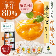 【スーパーSALE限定 10％OFFクーポン】【創業江戸天保五年】無添加 飲むゼリー 産地直送 なちゅるん 6~12…