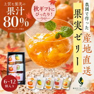 【秋季限定 10％OFFクーポン】【創業江戸天保五年】無添加 飲むゼリー 産地直送 なちゅるん 6~12個セット…