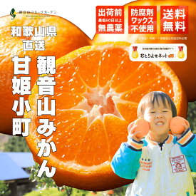 【大感謝祭】30％OFFクーポン配布 和歌山 観音山みかん 甘姫小町 1kg 5kg 10kg 送料無料 観音山フルーツガーデン 和歌山観音山みかん とろコク一番人気 送料無料 みかん ミカン 蜜柑 農園直送 産地直送 柑橘 果物 フルーツ 箱 国産 自宅用 家庭用 業務用 和歌山 温州みかん