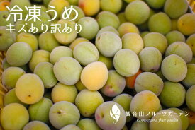 【期間限定】50％OFFクーポン配布中 冷凍青梅 5kg 訳ありB級品 和歌山県産 大小混合 観音山フルーツガーデン 送料無料 梅 梅ジュース 梅シロップ 梅酒 梅ジャム 青梅 産地直送 和歌山
