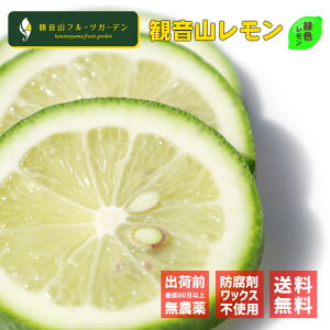  Y VcÉ̊ωR ʔ炪ΐF̃O[ Ai ₩ 9kg ωRt[cK[f 