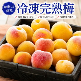 【期間限定】5％OFFクーポン配布中 【創業江戸天保五年】冷凍梅 1~10kg A級品 B級品（訳あり） 和歌山県産のみ 完熟梅 大小混合 観音山フルーツガーデン 送料無料 梅 梅ジュース 梅シロップ 梅酒 梅ジャム 梅干し 産地直送 和歌山