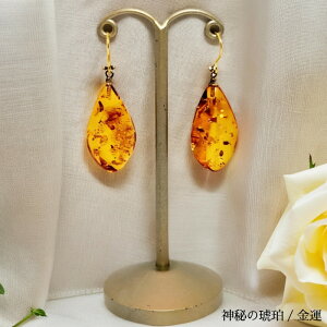 sAXiRݏo_߁j VR  Ao[ ^ F F IW fB[X Y ޏ ގ v[g Mtg a LO 蕨 sAX CO JWA 