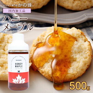 yr[Ly[Ώہznj[[v 500g [v I Vbv [vVbv Hi ݂͂   {̕i ʌ\ĂIX 