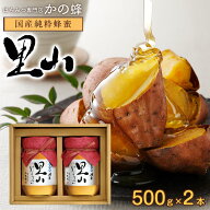 はちみつ 国産 里山はちみつ 500g×2本セット蜂蜜 贈り物 御中元 ギフト お中元 夏ギフト お取り寄せ グ…