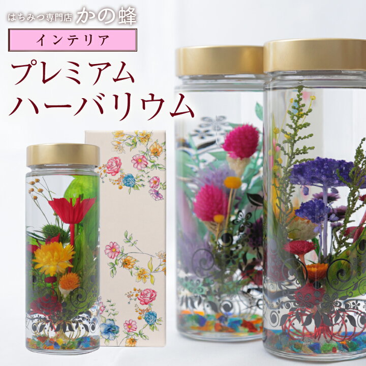 楽天市場 ギフト プレミアムハーバリウム Herbarium 癒しのインテリア マルチカラー 大きいサイズ ブリザーブド プリザーブド フラワー ドライフラワー ギフト プレゼント 贈り物 誕生日 プレゼント 花 ブリザードフラワー 蜂蜜の専門店 かの蜂