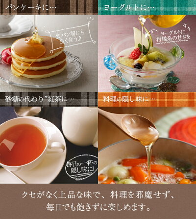かの蜂公式サイト百花はちみつとんがり容器1000g国産百花蜂蜜蜂蜜専門店かの蜂