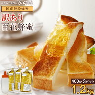 【訳あり】国産百花はちみつ エコパック 400g×3パック 合計1.2kg 大容量 500gとんがりポリ容器付き 詰め…