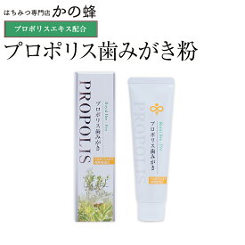プロポリス歯みがき（100g）プロポリス歯磨き粉 無添加 お得 おすすめ 本物の品質 効果効能を感じてください蜂蜜専門店 かの蜂