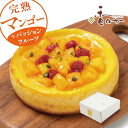 【夏季限定！甘くてすっぱい】 完熟 マンゴーチーズケーキ 冷凍 誕生日 お取り寄せ スイーツ 濃厚な甘味 ギフト お取り寄せ 高級 プレゼント 5号 香のか