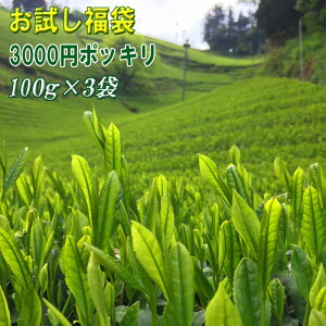  D100g×1܁ G100g×1܁ 100g×1ܐÉ@E3000~|bL