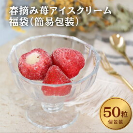 楽天市場 各種アイスクリーム シャーベットセット イベント 祝日季節の変わり目 アイスクリーム シャーベット スイーツ お菓子 の通販