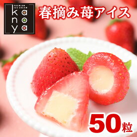 【27日09時59分まで4,250円→3,490円】 アイスクリーム アイス 福袋 食品ロス 訳あり 詰め合わせ コロナ もったいない 個包装 お徳用 春摘みいちご アイスクリームセット(50粒入)