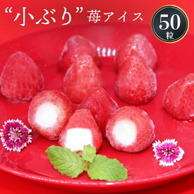 楽天市場 訳あり アイスクリーム シャーベット スイーツ お菓子 の通販