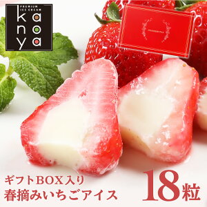 Ε ΕMtg ACX ACXN[ Mtg j oYj Cj j  j 蕨 A tE䕃ACXN[(18)