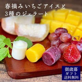 楽天市場 各種アイスクリーム シャーベットセット イベント 祝日送別 退職 アイスクリーム シャーベット スイーツ お菓子 の通販